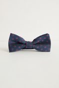 Dots pattern silk bow tie